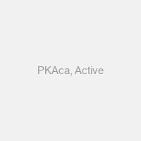 PKAca, Active